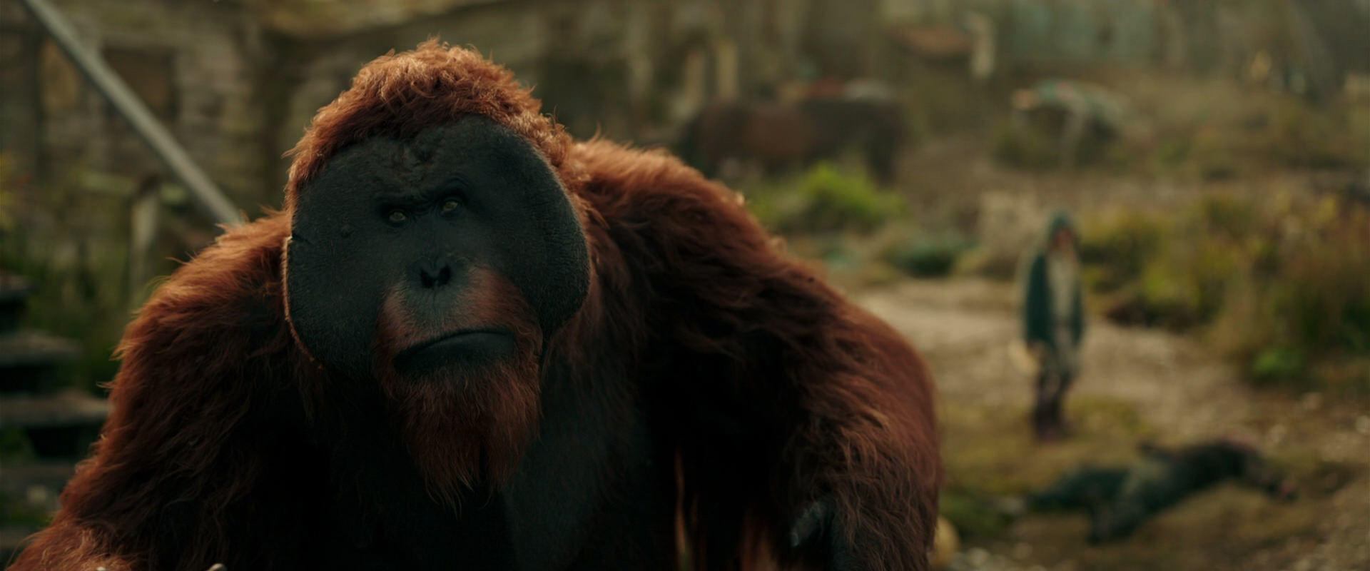 War for the Planet of the Apes (2017) movie still 3850