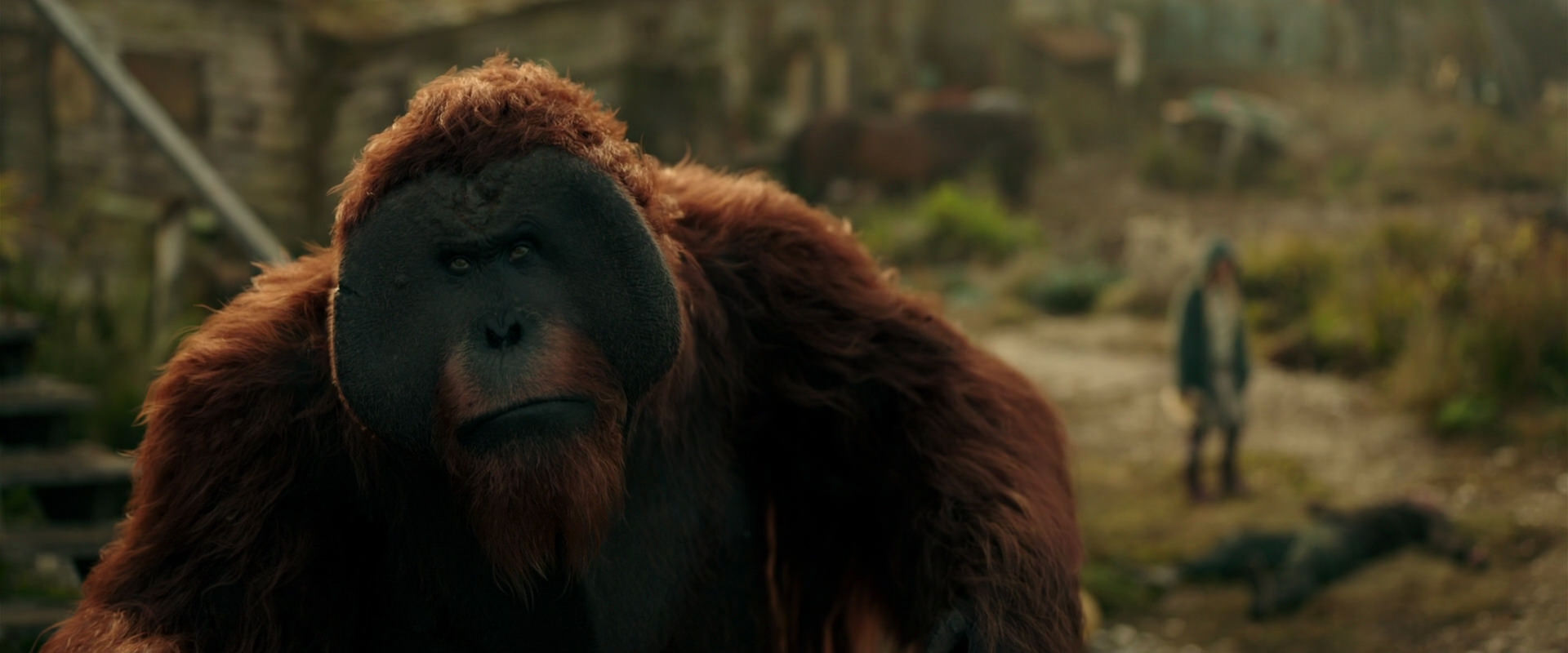 War for the Planet of the Apes (2017) HD screenshot 3851