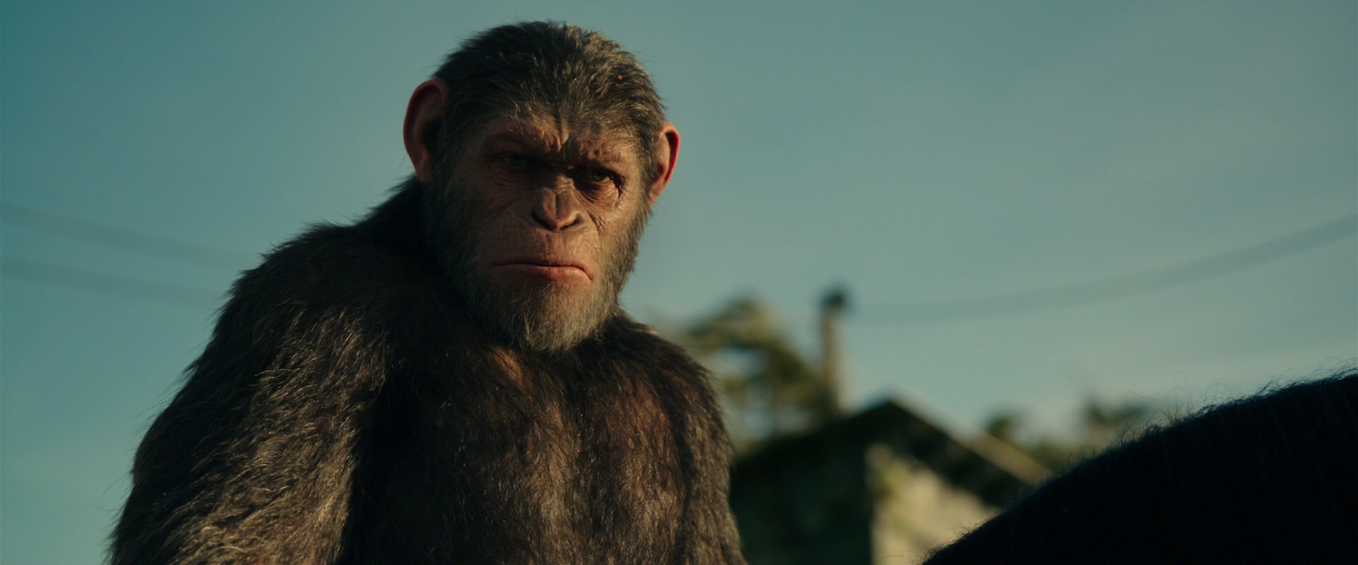 War for the Planet of the Apes (2017) screencap 3852