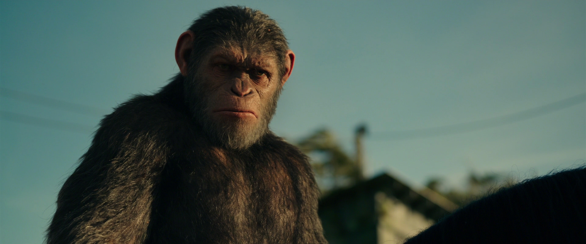War for the Planet of the Apes (2017) movie still 3853