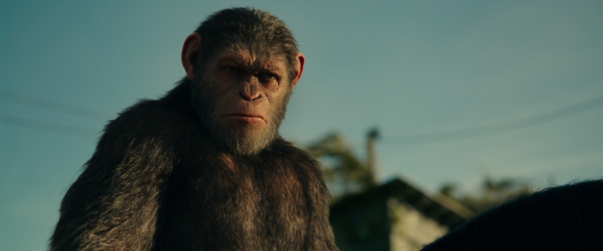 War for the Planet of the Apes (2017) HD screenshot 3854