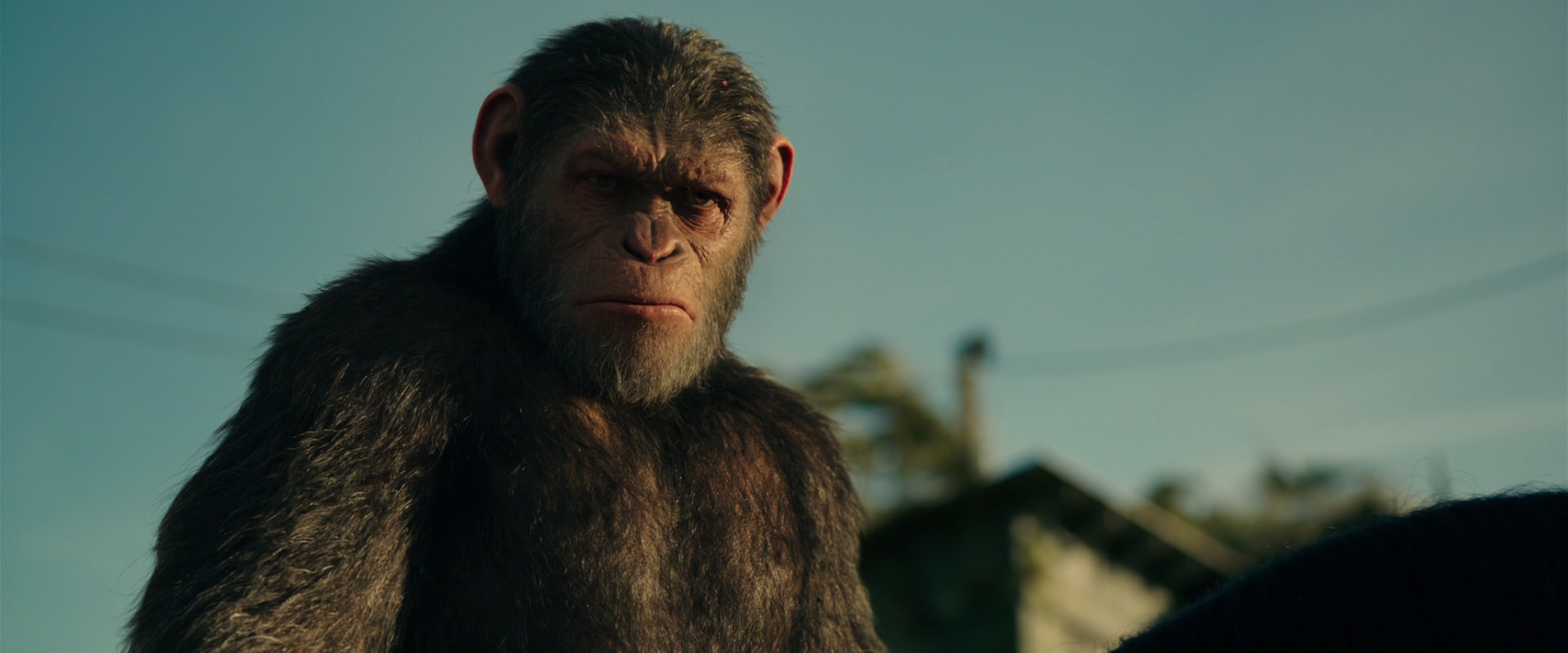 War for the Planet of the Apes (2017) screencap 3855