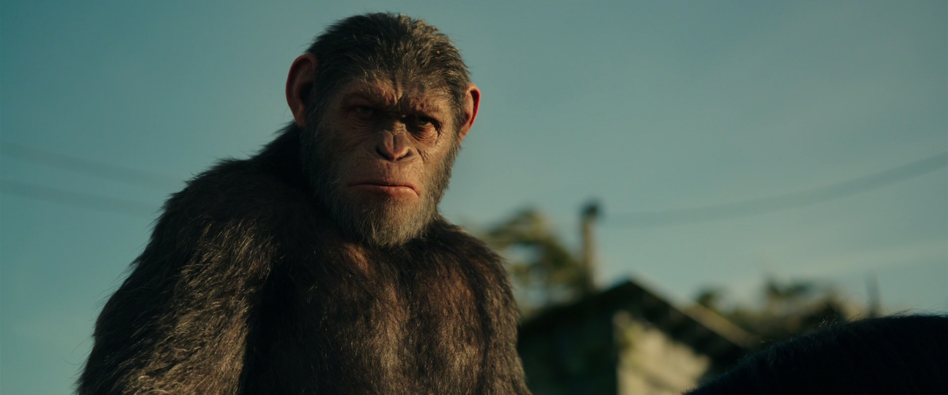 War for the Planet of the Apes (2017) movie still 3856