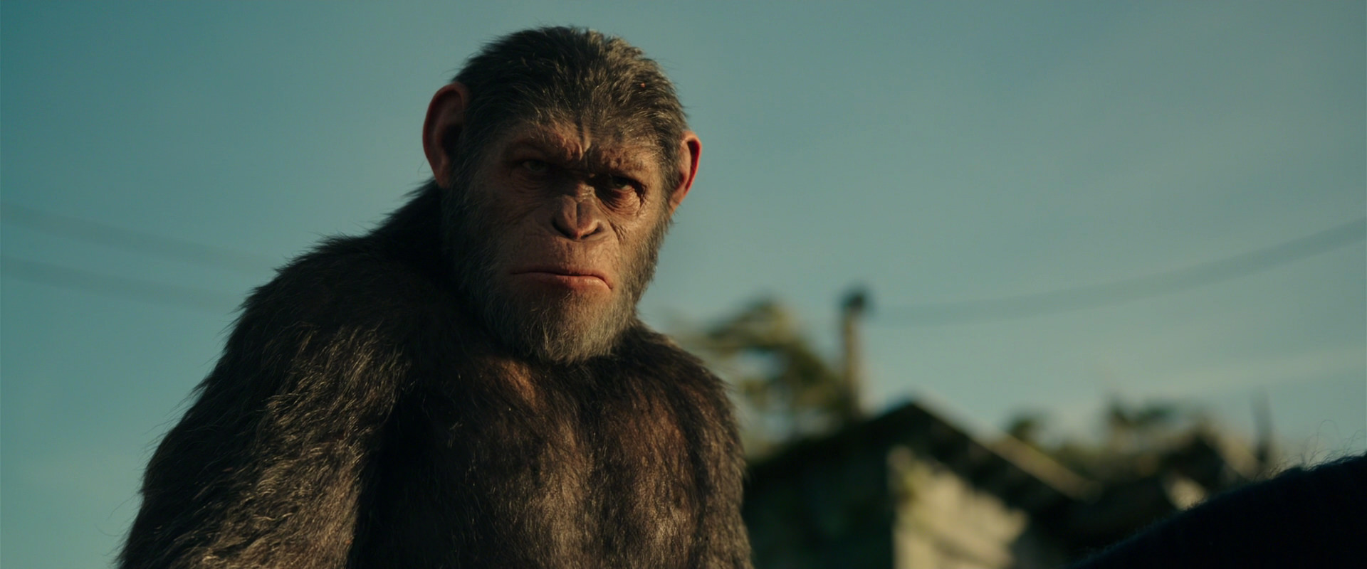 War for the Planet of the Apes (2017) screencap 3858