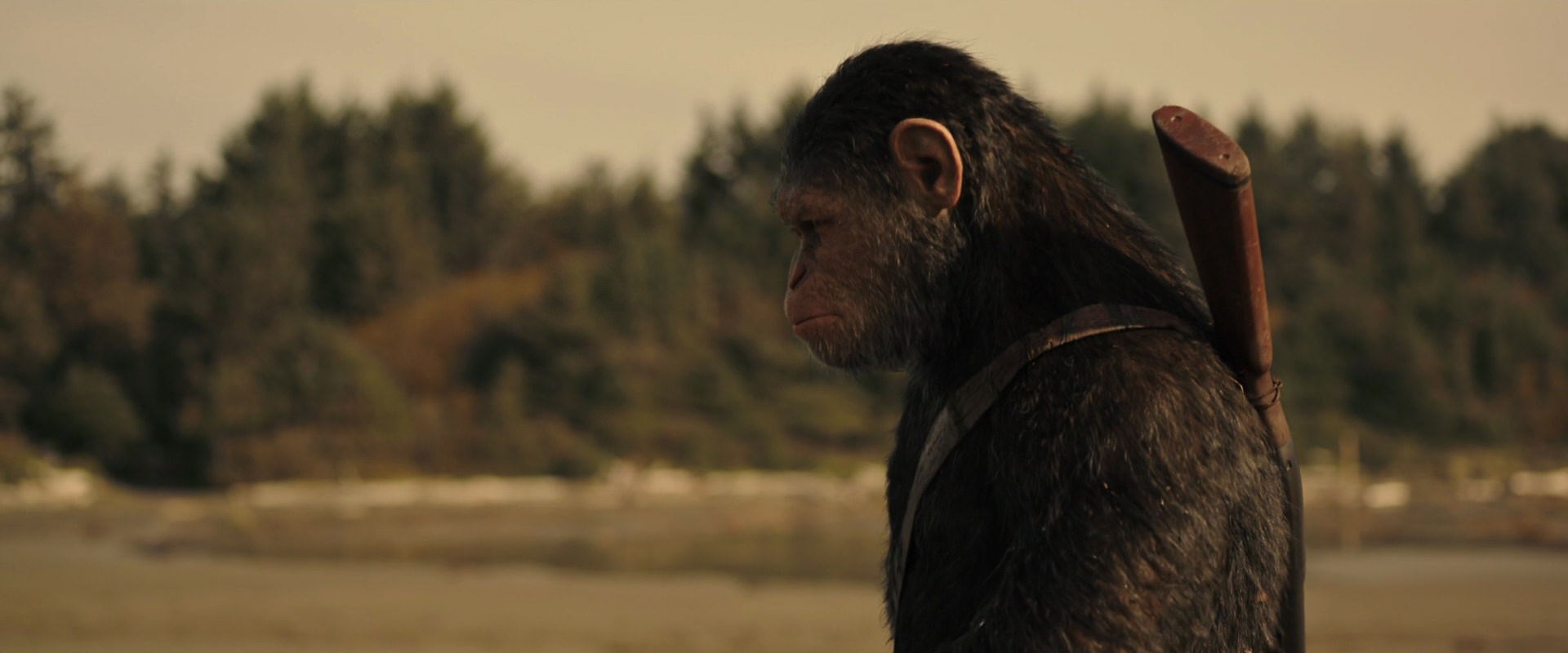 War for the Planet of the Apes (2017) HD screenshot 3881