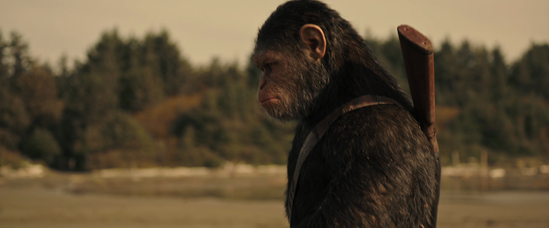 War for the Planet of the Apes (2017) movie still 3883