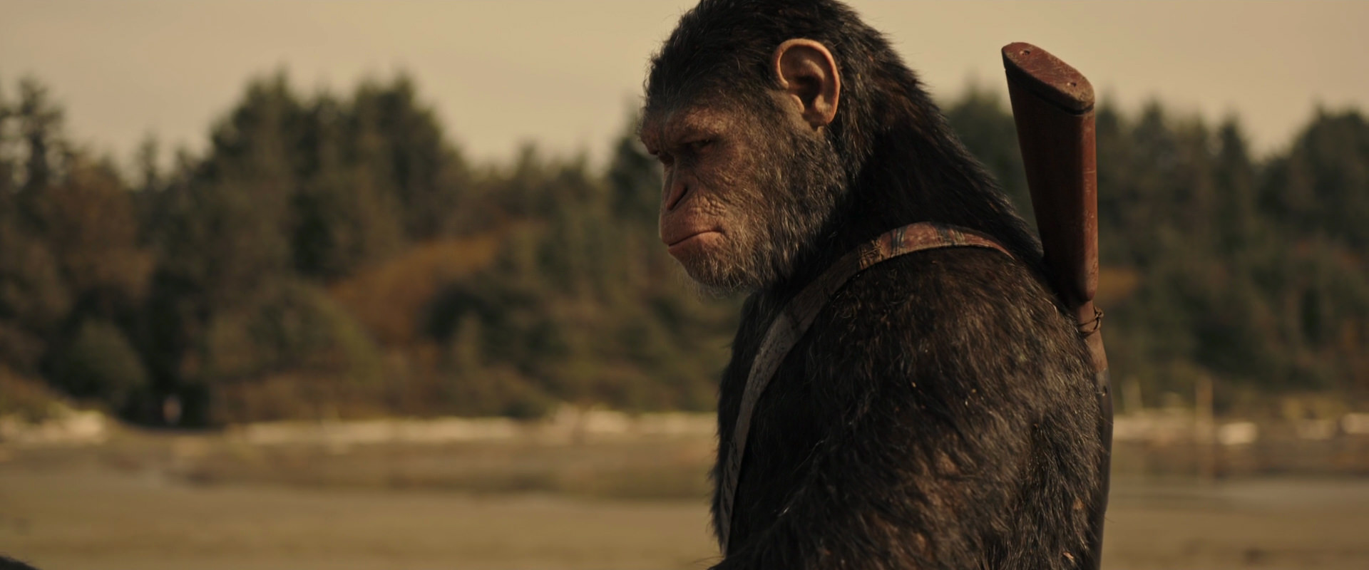 War for the Planet of the Apes (2017) HD screenshot 3884