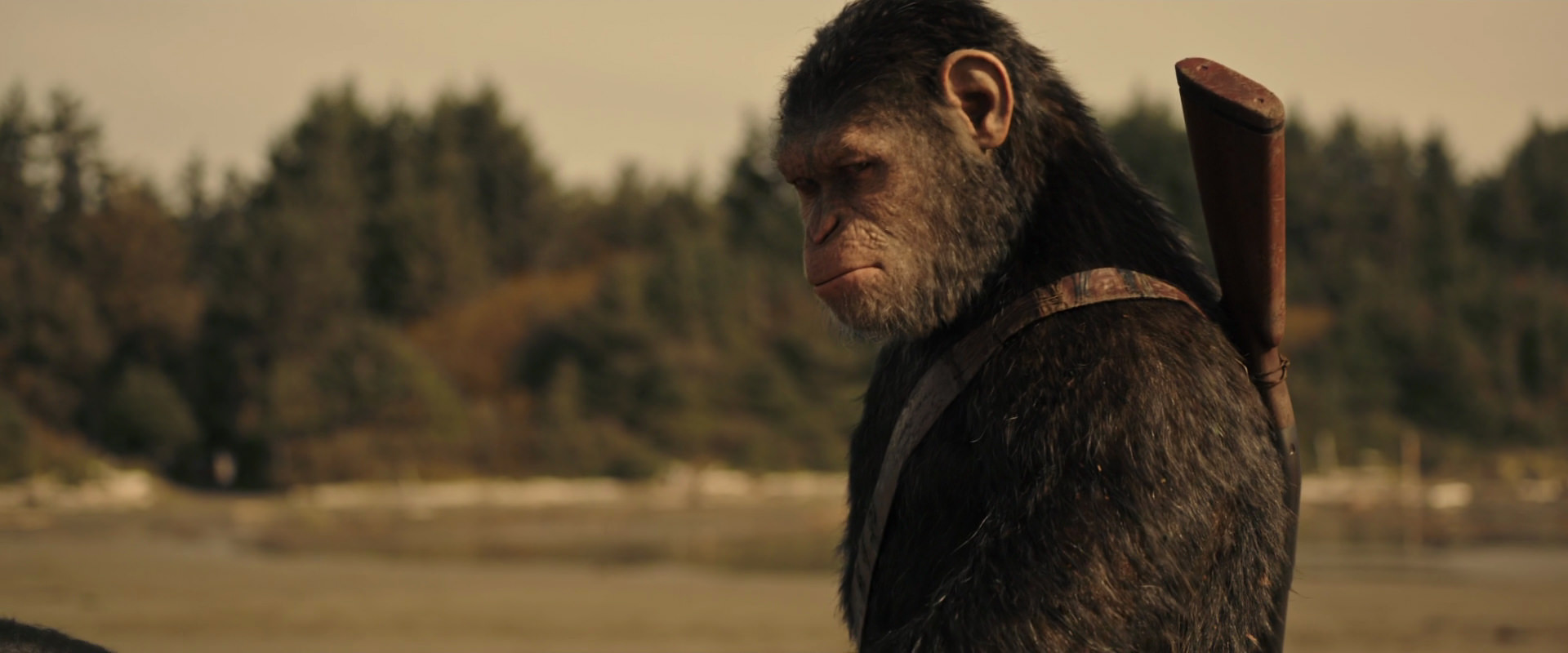 War for the Planet of the Apes (2017) screencap 3885
