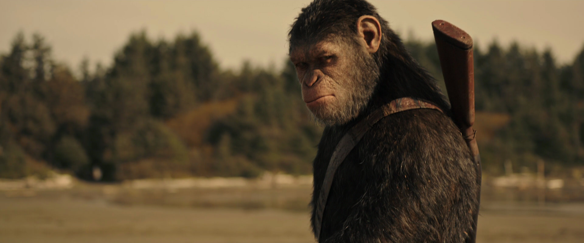War for the Planet of the Apes (2017) movie still 3886