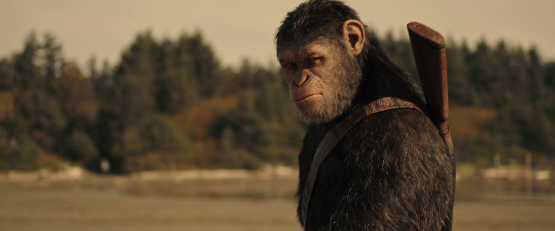 War for the Planet of the Apes (2017) HD screenshot 3887