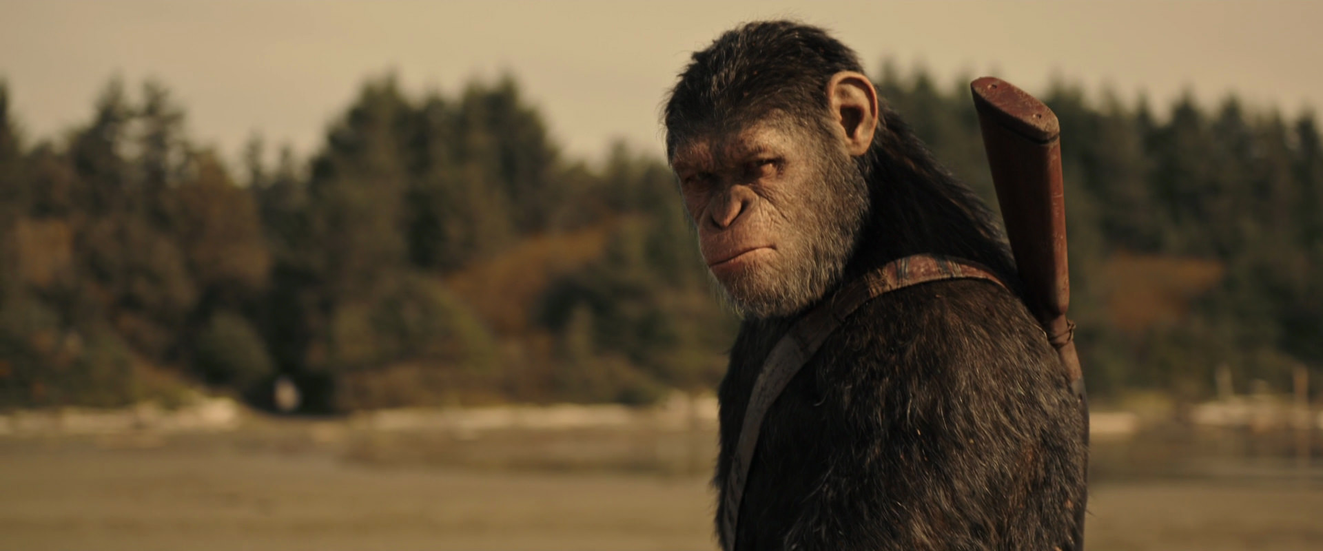 War for the Planet of the Apes (2017) screencap 3888