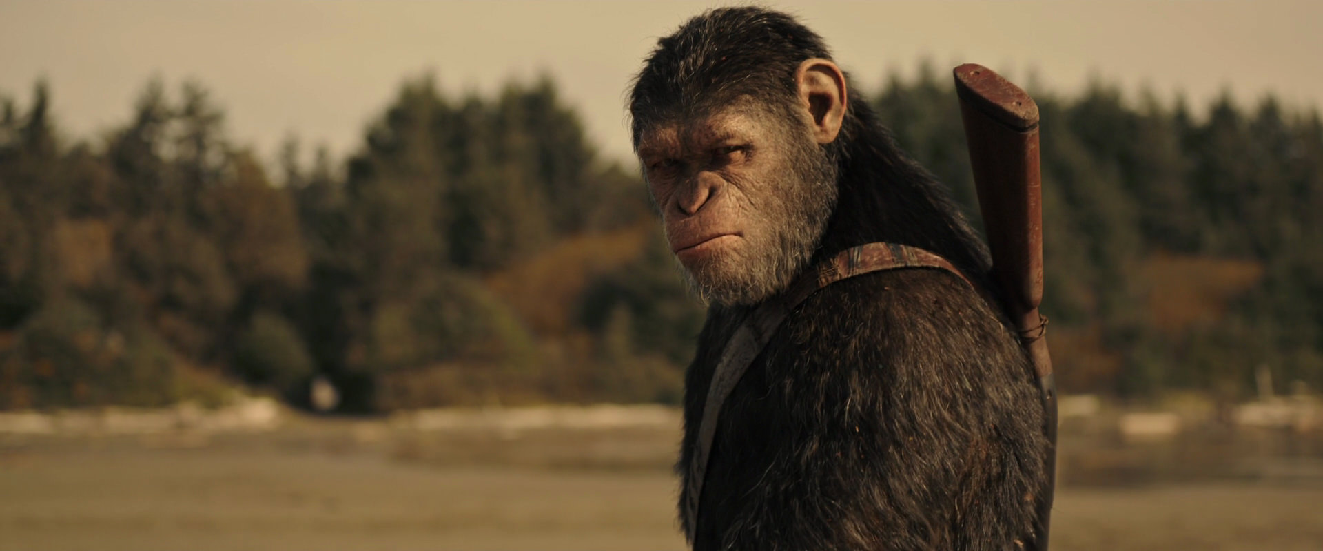 War for the Planet of the Apes (2017) movie still 3889