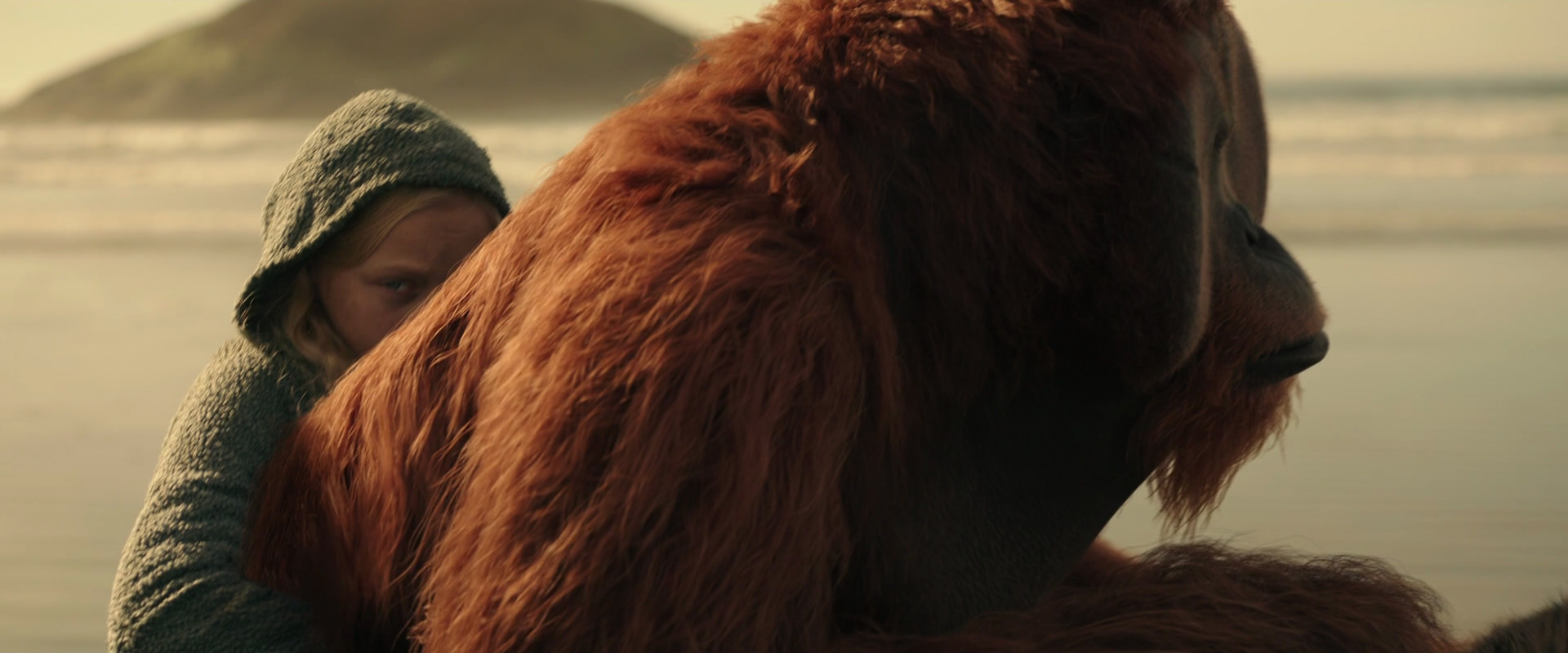 War for the Planet of the Apes (2017) movie still 3892