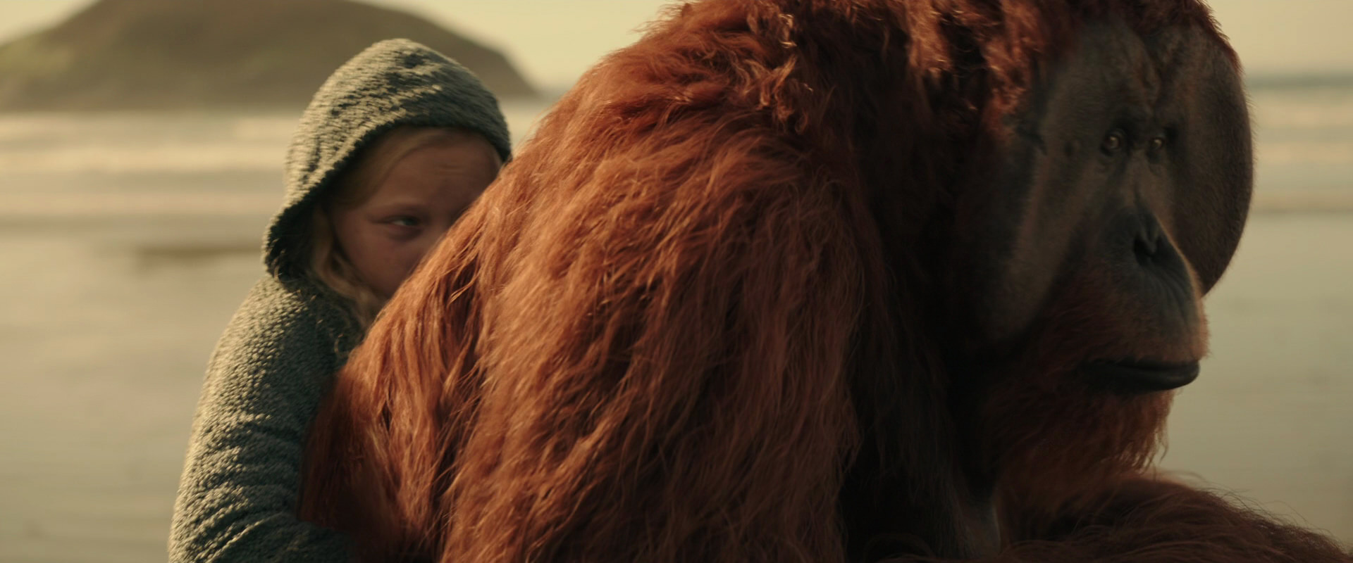 War for the Planet of the Apes (2017) movie still 3895