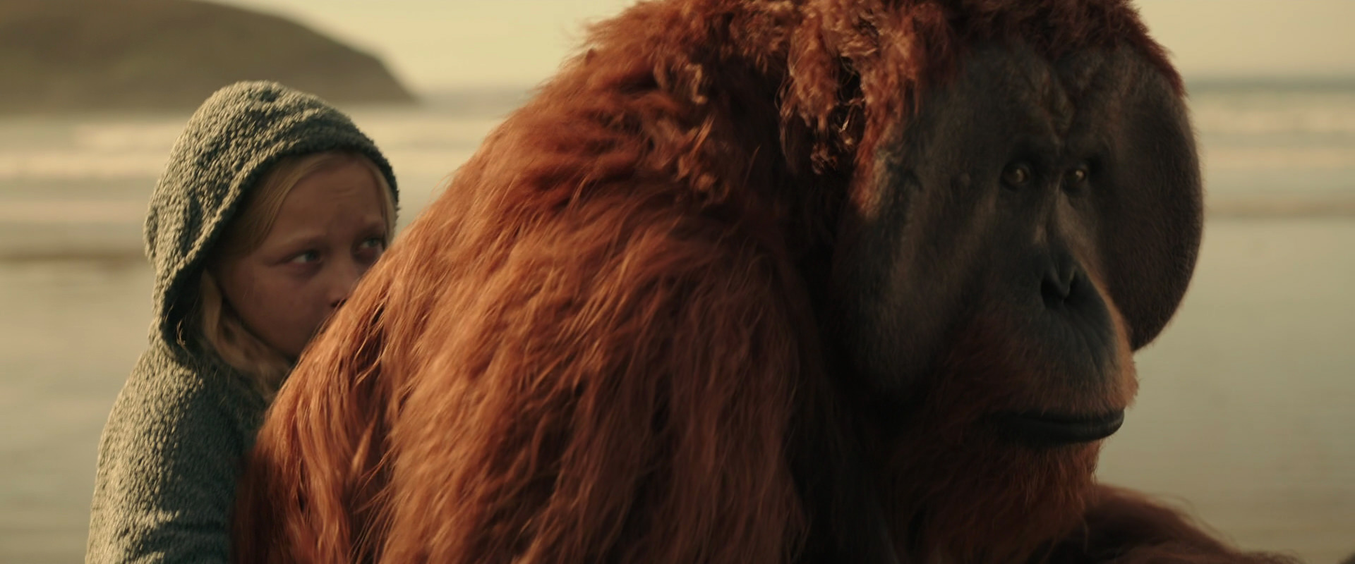 War for the Planet of the Apes (2017) screencap 3897