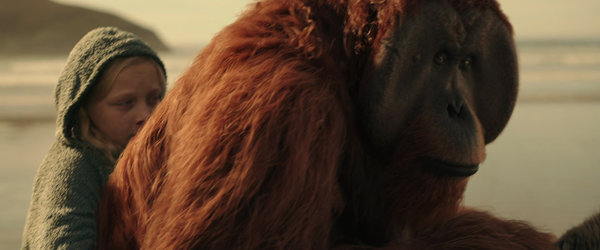 War for the Planet of the Apes (2017) movie still 3898
