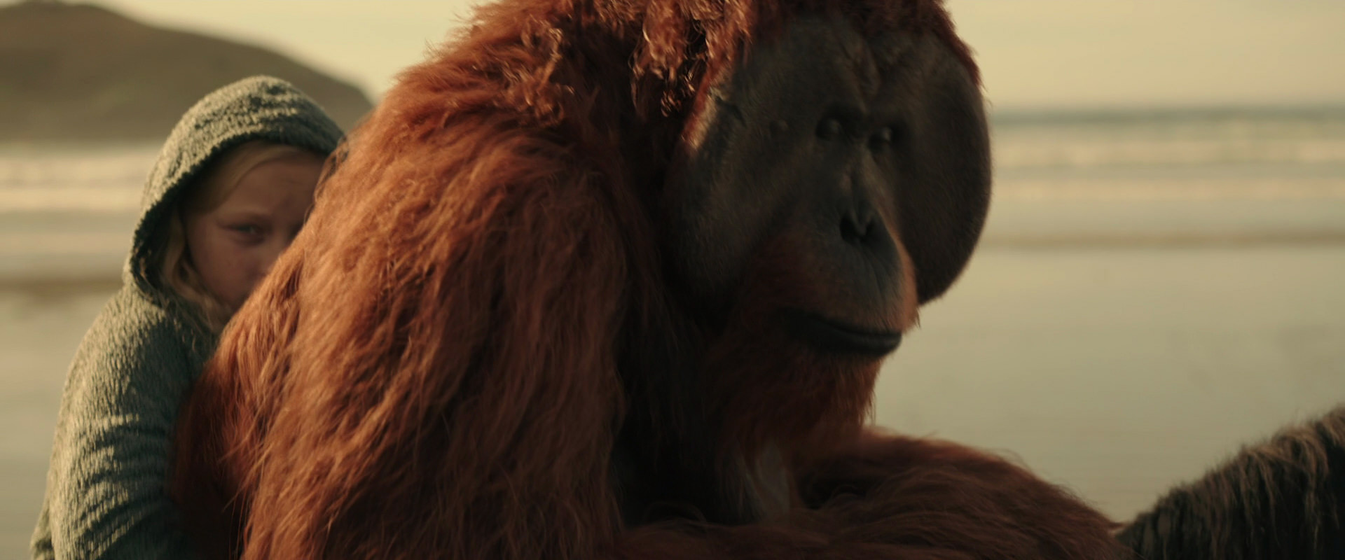 War for the Planet of the Apes (2017) movie still 3901