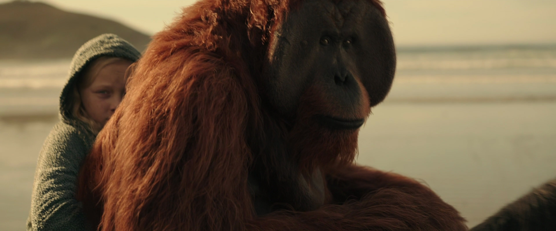 War for the Planet of the Apes (2017) HD screenshot 3902