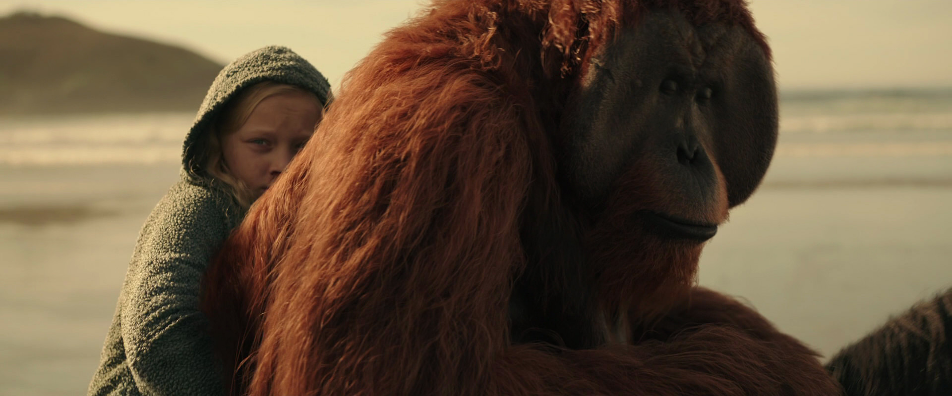 War for the Planet of the Apes (2017) movie still 3904