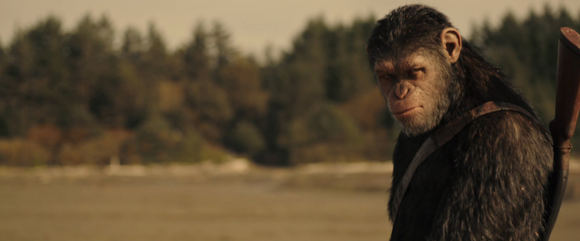 War for the Planet of the Apes (2017) screencap 3906