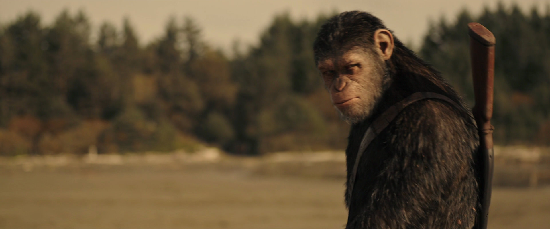 War for the Planet of the Apes (2017) movie still 3907