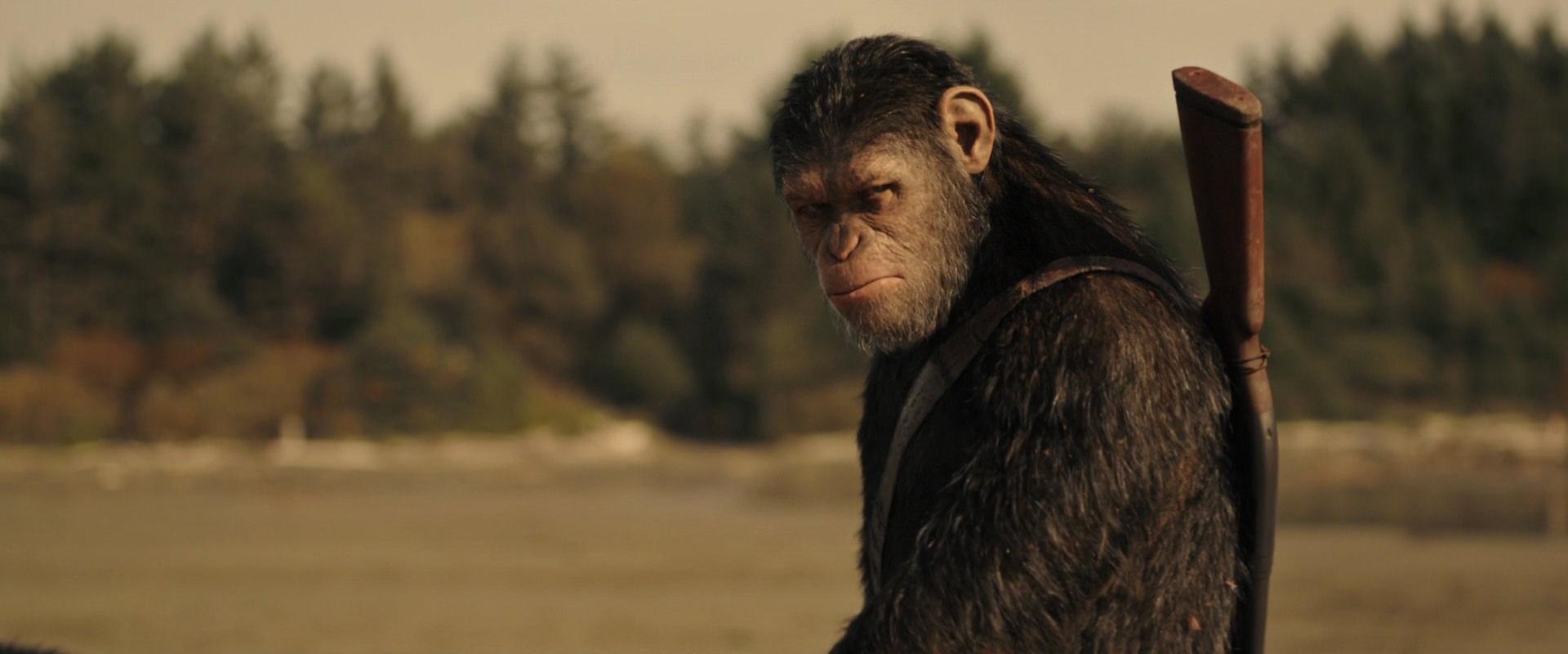 War for the Planet of the Apes (2017) HD screenshot 3908