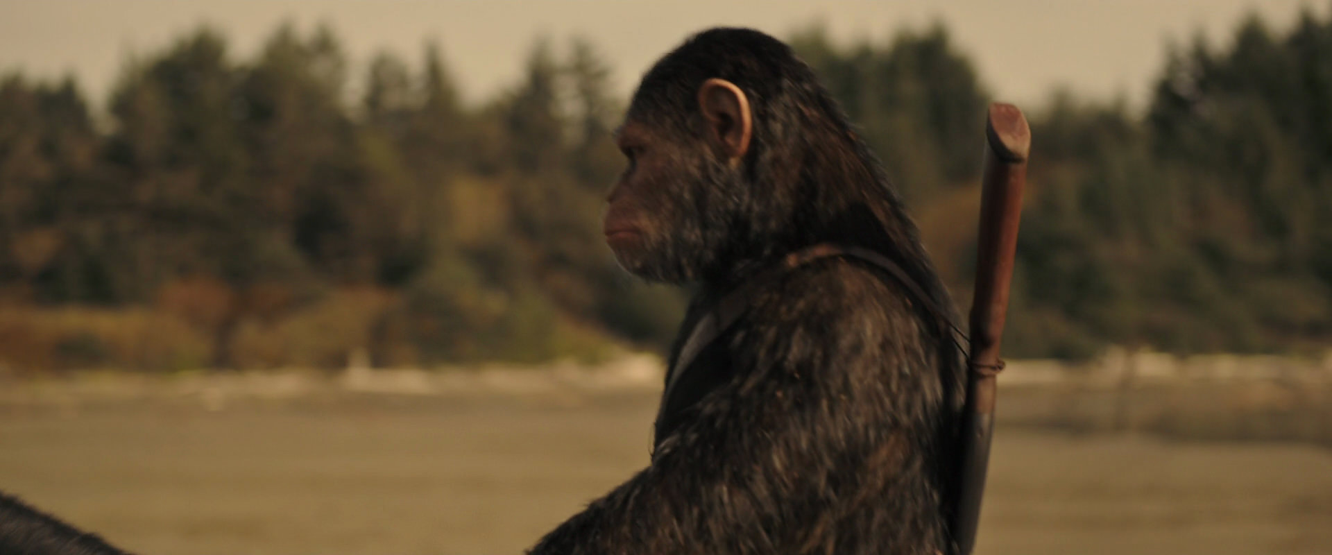 War for the Planet of the Apes (2017) screencap 3909