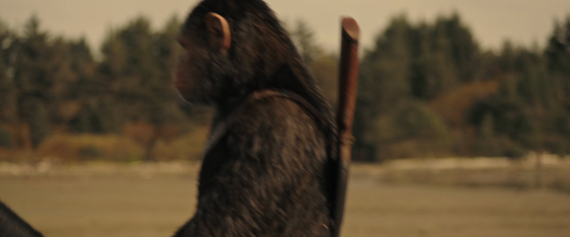War for the Planet of the Apes (2017) movie still 3910