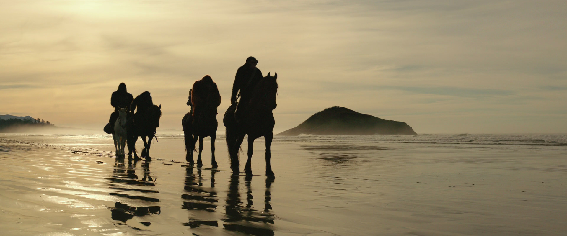 War for the Planet of the Apes (2017) movie still 3928
