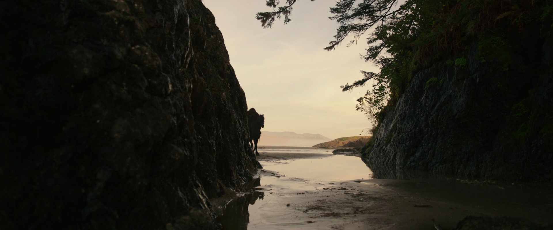 War for the Planet of the Apes (2017) screencap 3936