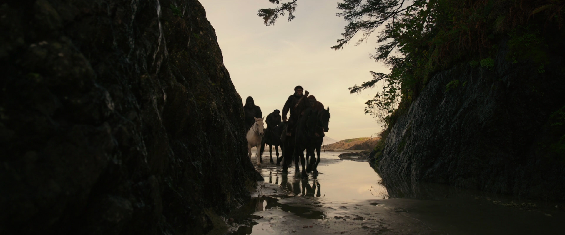 War for the Planet of the Apes (2017) movie still 3946