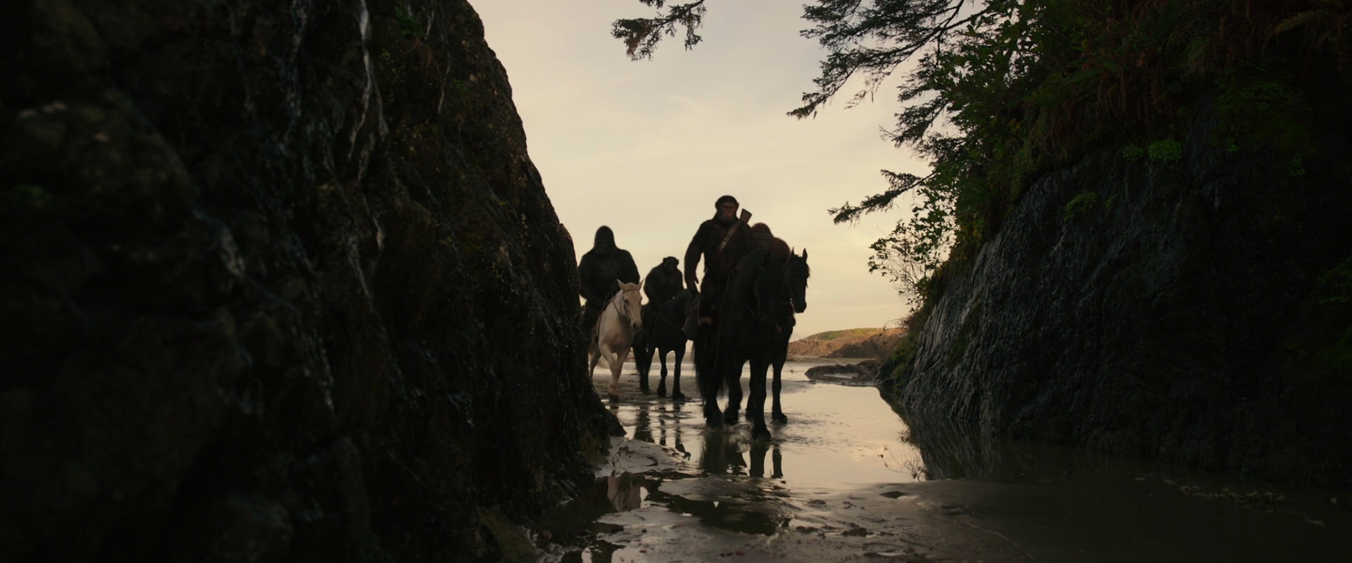 War for the Planet of the Apes (2017) HD screenshot 3947