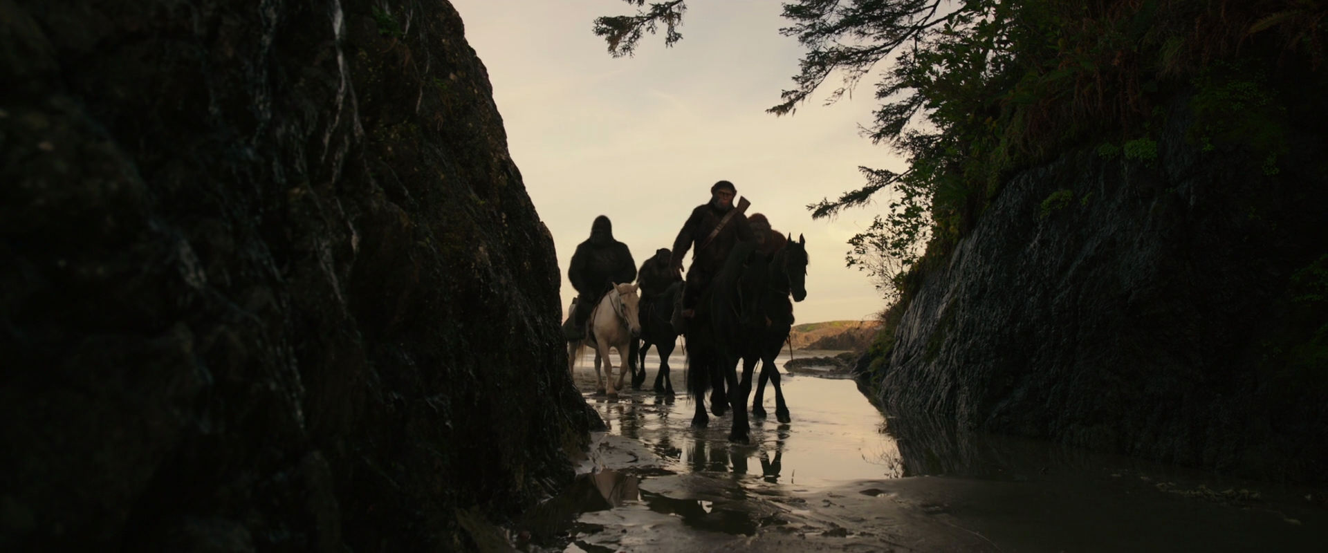 War for the Planet of the Apes (2017) screencap 3948