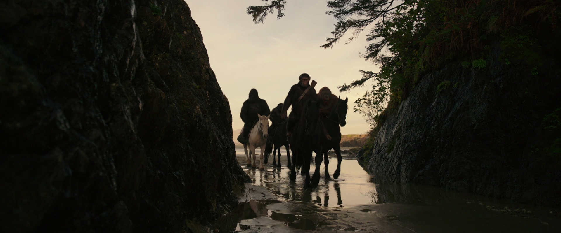 War for the Planet of the Apes (2017) movie still 3949