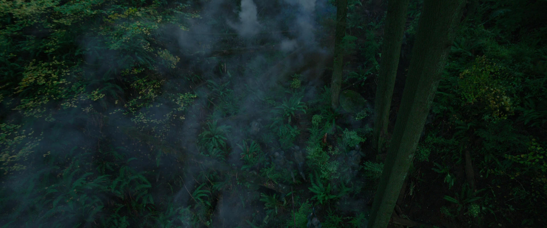 War for the Planet of the Apes (2017) HD screenshot 395