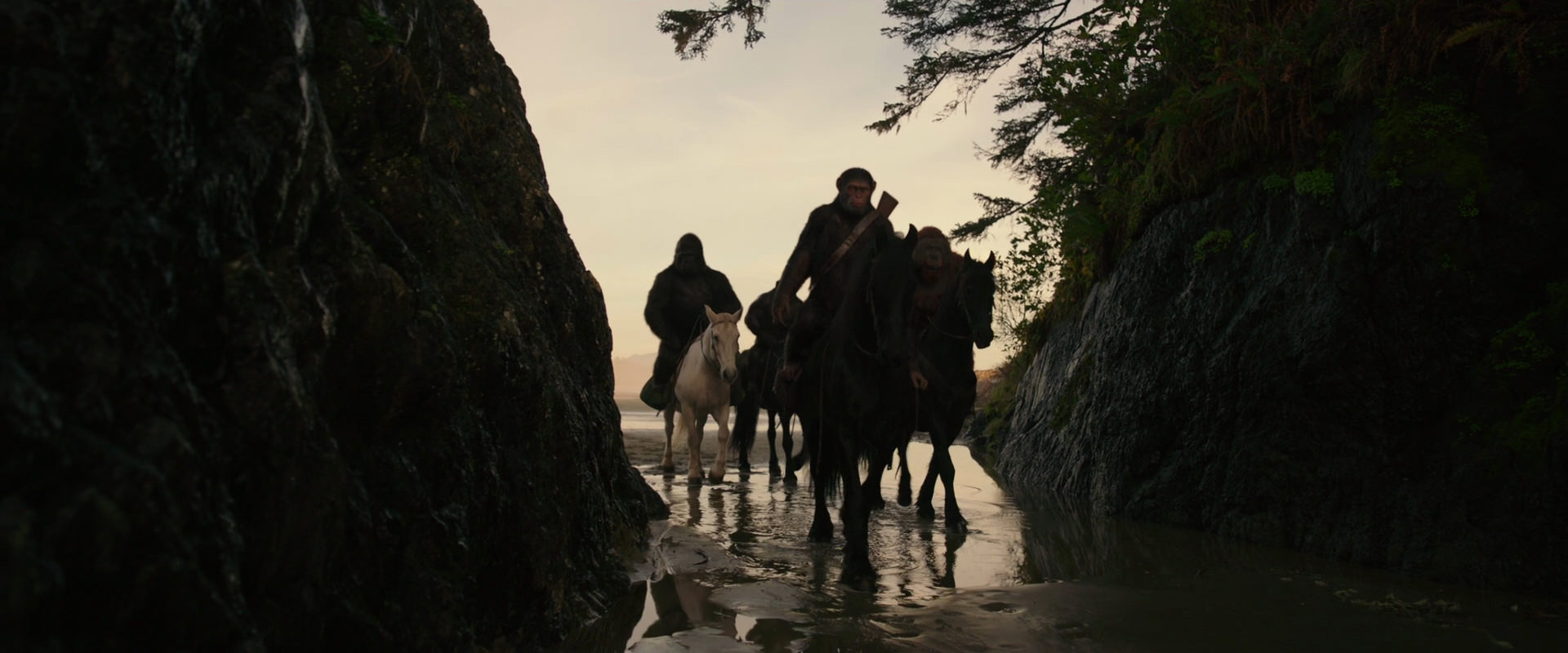 War for the Planet of the Apes (2017) screencap 3951