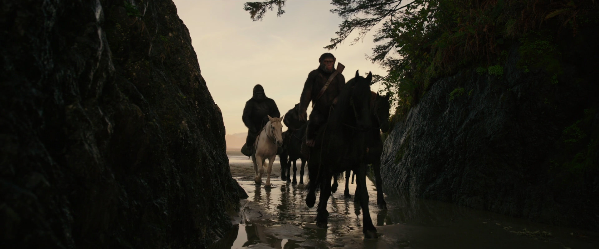 War for the Planet of the Apes (2017) movie still 3952