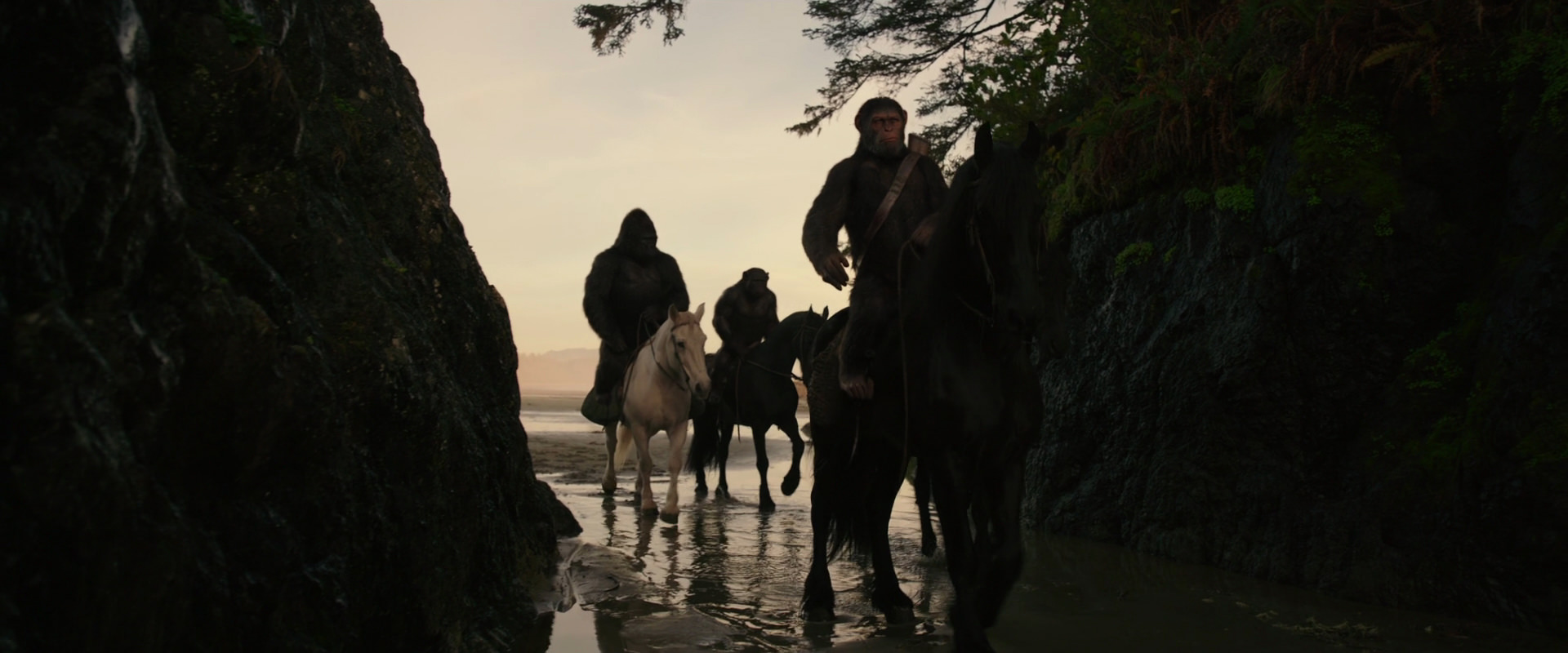 War for the Planet of the Apes (2017) screencap 3954