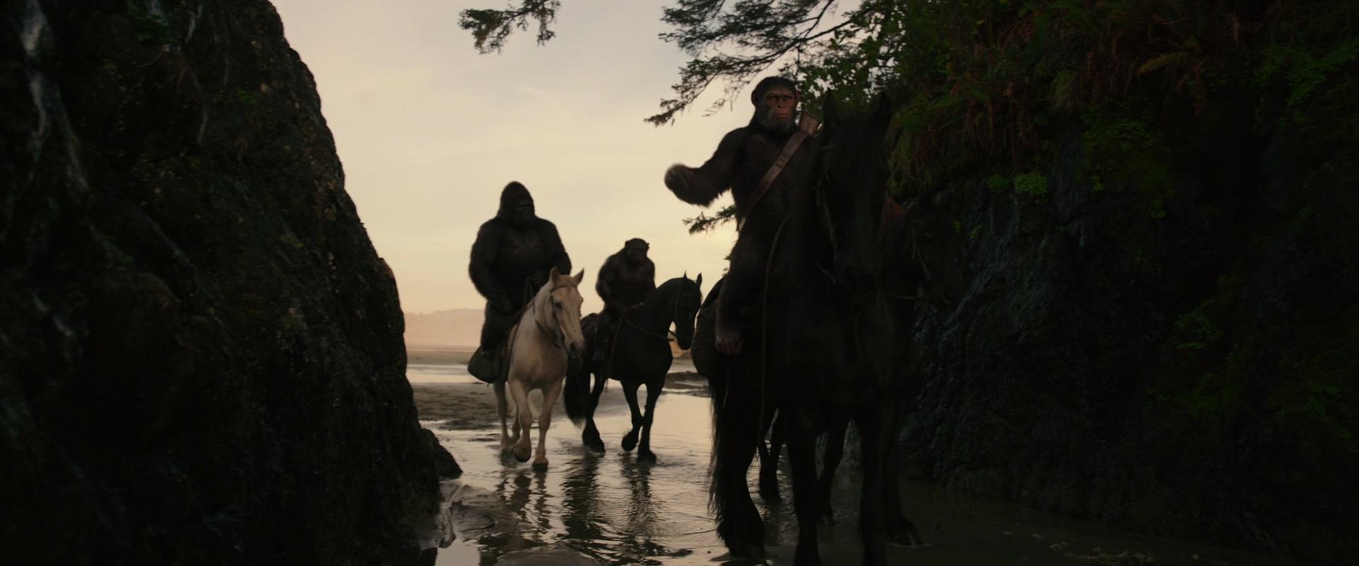 War for the Planet of the Apes (2017) movie still 3955