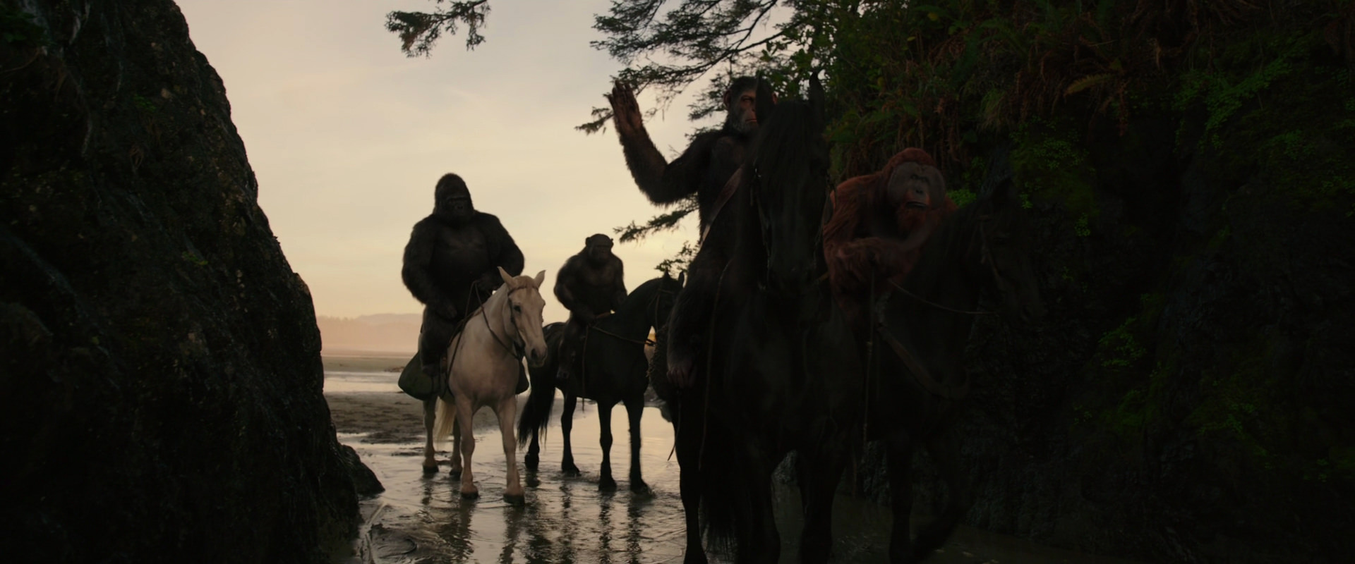War for the Planet of the Apes (2017) screencap 3957