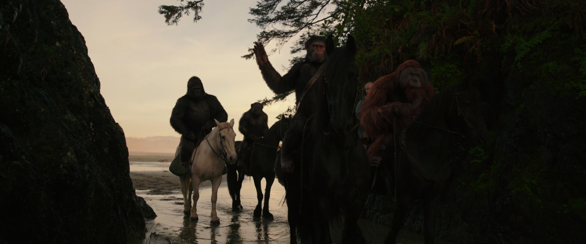 War for the Planet of the Apes (2017) movie still 3958