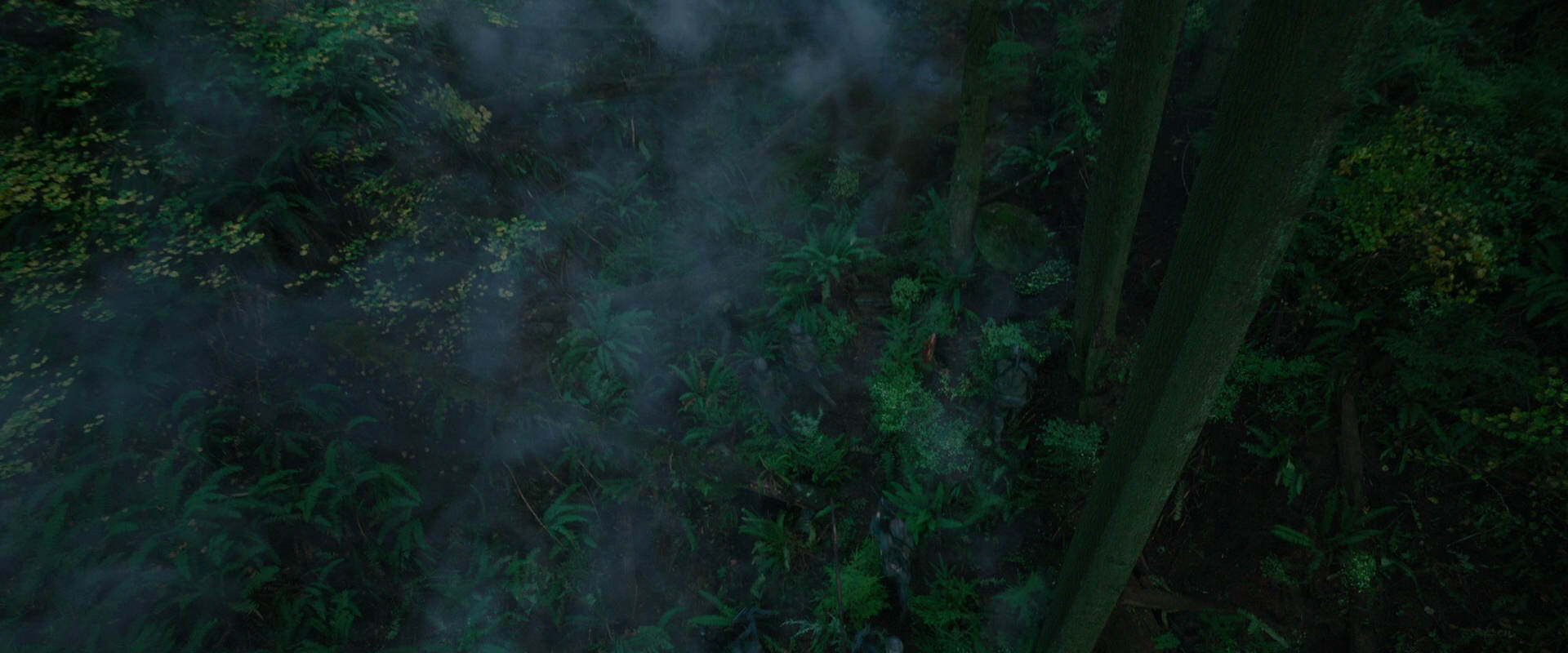 War for the Planet of the Apes (2017) screencap 396