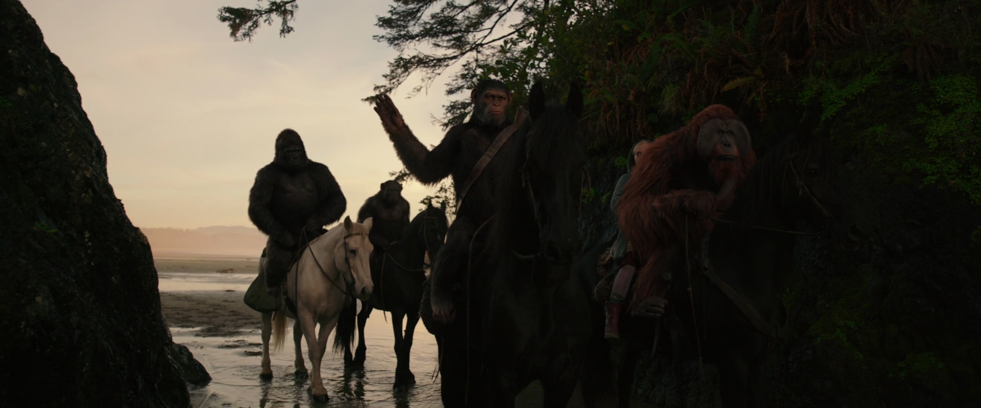 War for the Planet of the Apes (2017) screencap 3960