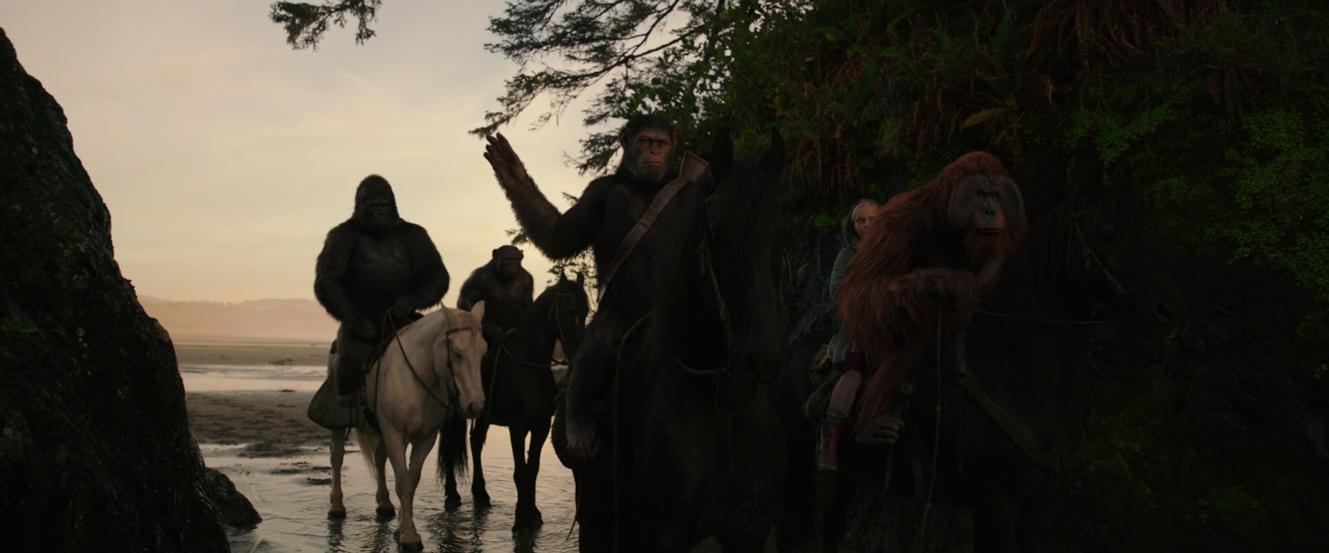 War for the Planet of the Apes (2017) movie still 3961
