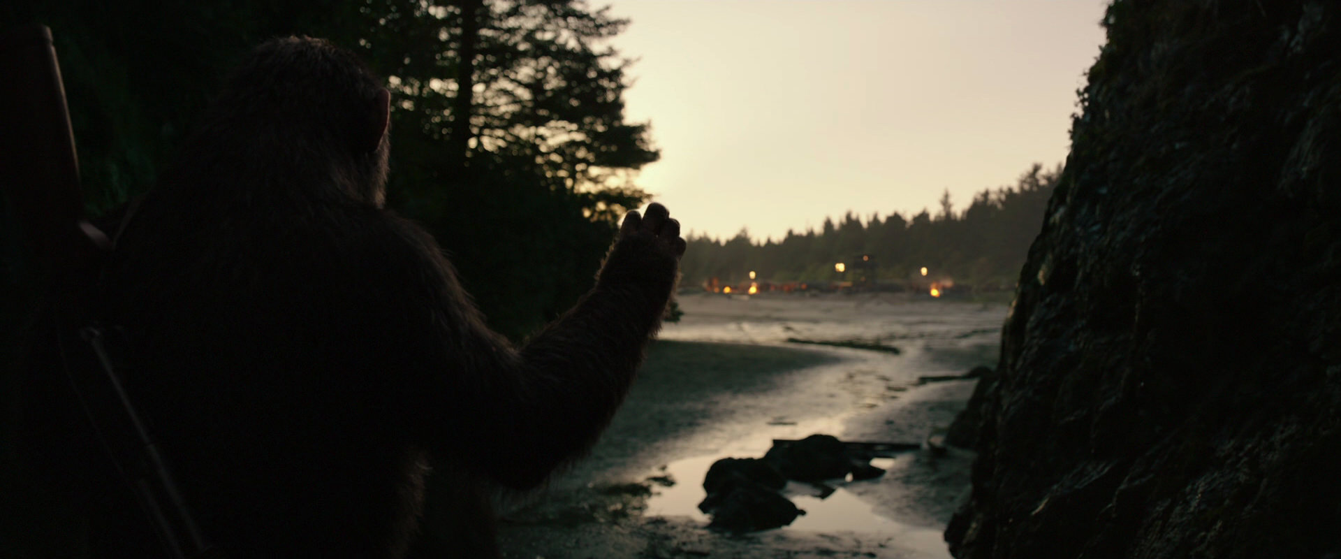 War for the Planet of the Apes (2017) screencap 3963