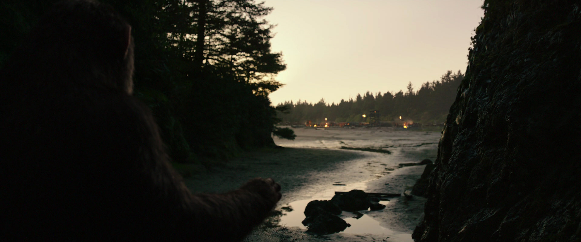 War for the Planet of the Apes (2017) screencap 3966