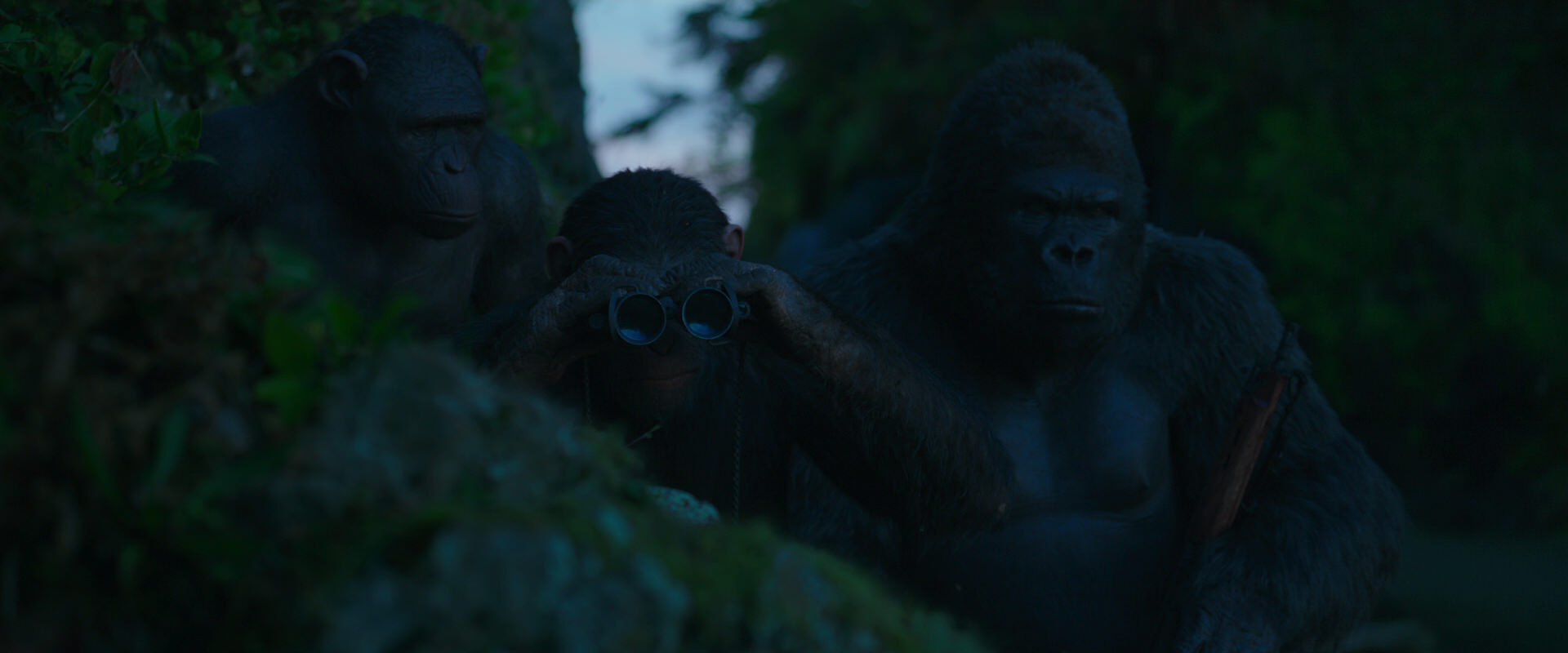 War for the Planet of the Apes (2017) movie still 3982