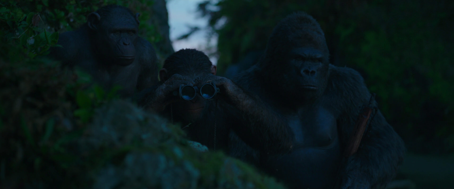 War for the Planet of the Apes (2017) HD screenshot 3983