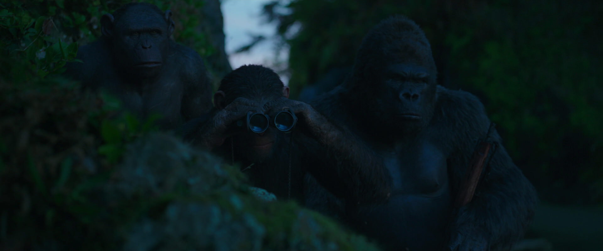 War for the Planet of the Apes (2017) movie still 3985
