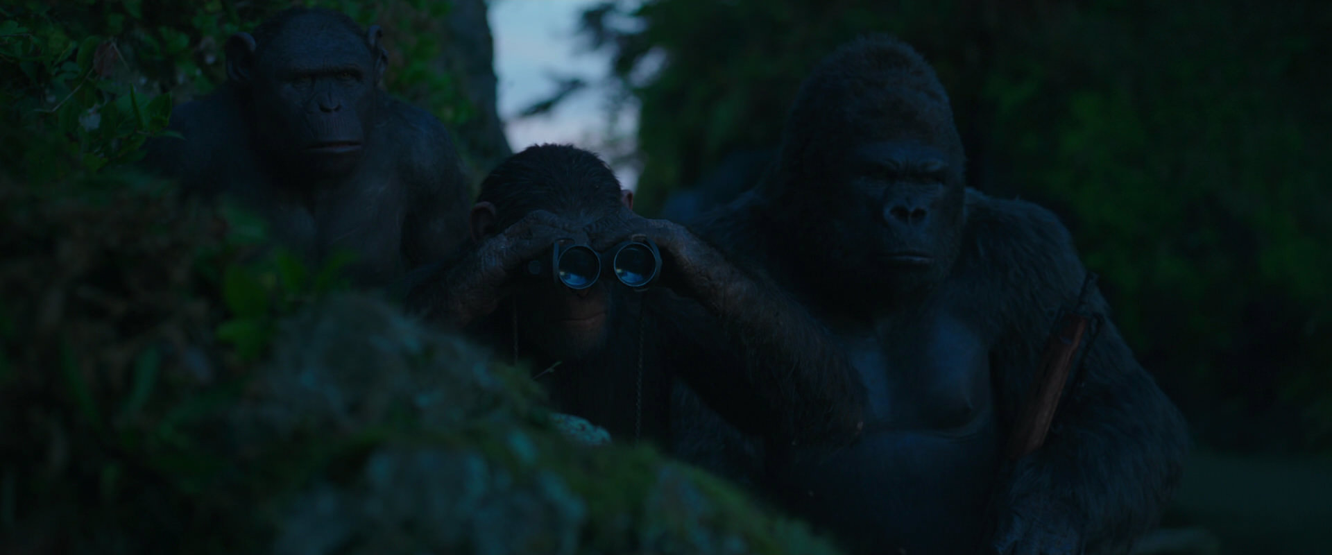 War for the Planet of the Apes (2017) HD screenshot 3986
